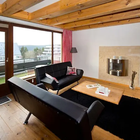 Appartement Alpina Winterberg